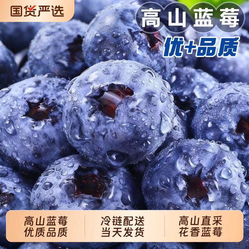 云南蓝莓鲜果特大礼盒当季高山花香新鲜水果孕妇大果怡颗整箱配送