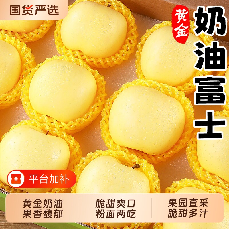 山东烟台黄金奶油富士苹果新鲜现摘水果当季冰糖心牛奶脆甜红平果