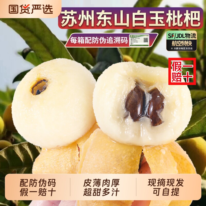 特大超甜正宗苏州东山白玉枇杷当季新鲜水果孕妇白枇杷果礼盒现摘