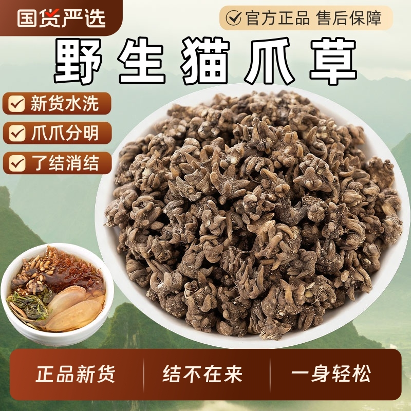 正宗野生猫爪草猫抓草干货中药材水洗猫爪草夏枯草郁金蒲公英泡茶