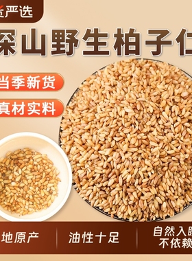 新货柏子仁中药材正品官方旗舰店去壳柏籽仁柏子肉柏子仁泡水泡茶