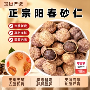 正宗阳春砂仁中药材养胃正品中药香料特产煲汤入药砂仁粉茯苓陈皮