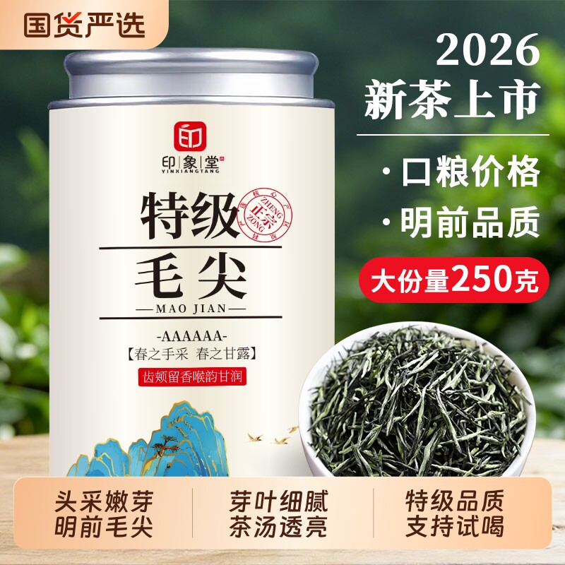 印象堂明前毛尖2026新茶叶特级浓香型春茶嫩芽绿茶自己喝送礼散装