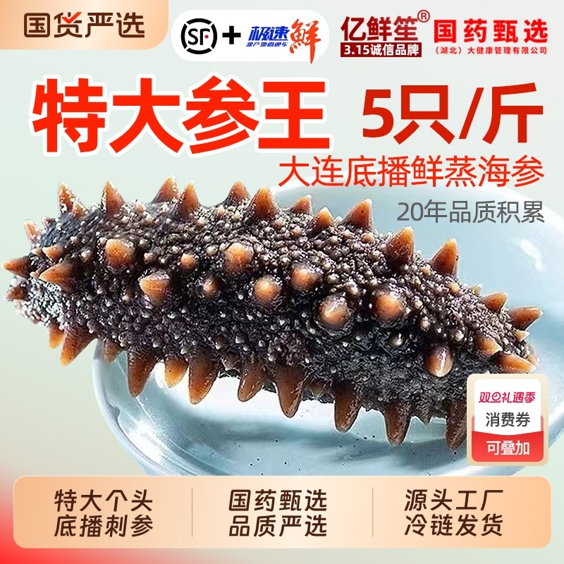大连海参即食刺参鲜活非淡干辽参底播500g特价水产冷冻食物老年人