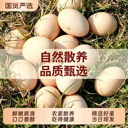 谷滋然鸡蛋新鲜正宗农家散养30枚谷物生鲜柴鸡蛋笨鸡蛋土鸡蛋整箱