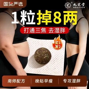 九芝堂艾草肚脐贴艾脐贴艾灸艾草绒非排毒去湿气体内湿寒胖祛湿