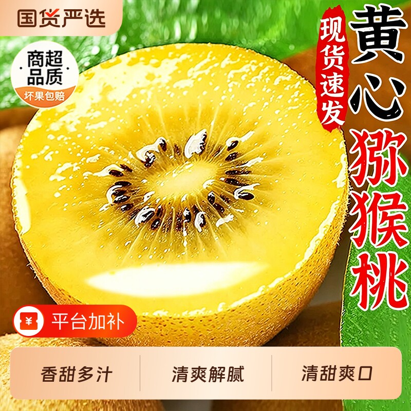 四川黄心猕猴桃新鲜当应季水果金奇异果弥猴桃香甜多汁整箱包邮