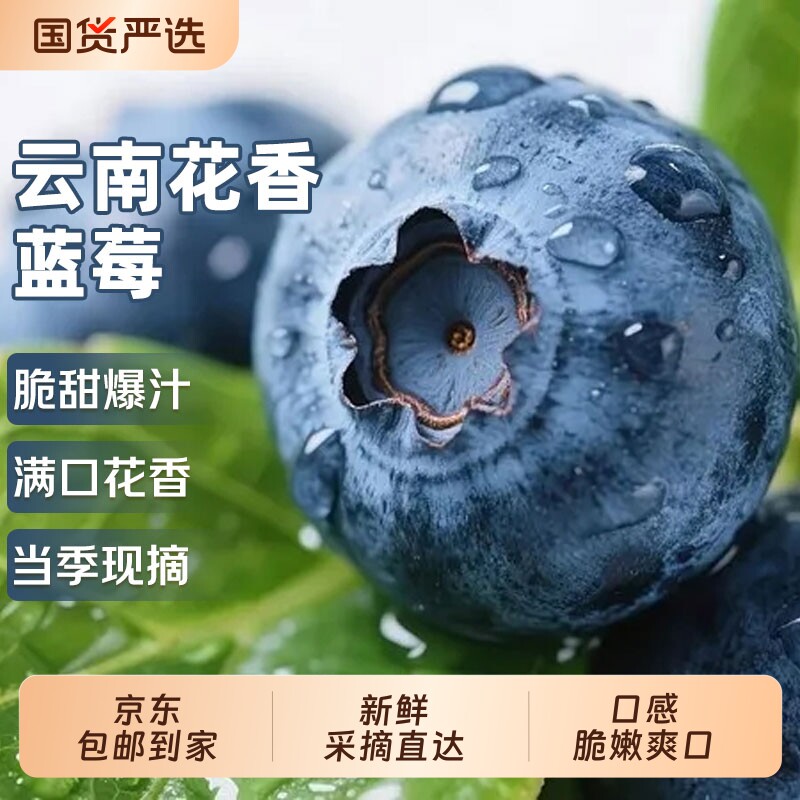 新鲜云南花香蓝莓鲜果12盒当季孕妇水果精品现摘整箱包邮大果优选