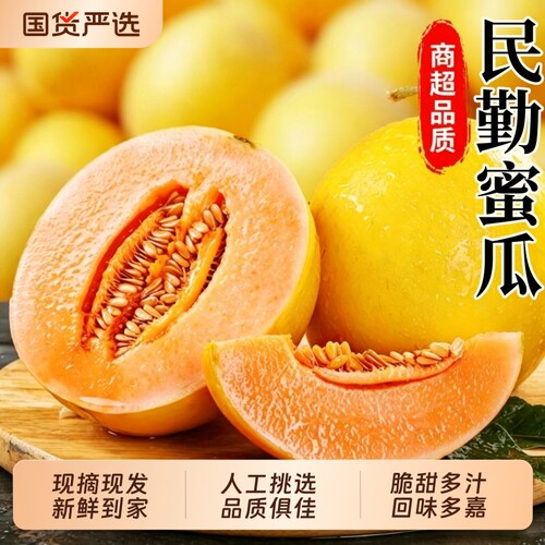正宗民勤蜜瓜甜瓜新鲜水果应当季