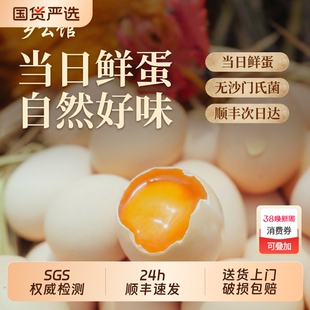 乡公馆40枚土鸡蛋新鲜正宗农家散养生鲜鸡蛋谷物柴鸡蛋草鸡蛋礼盒