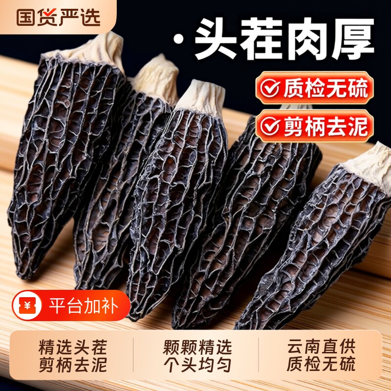 羊肚菌干货26年8-12cm特产云南菇菌汤包旗舰店美味原产地火锅国货