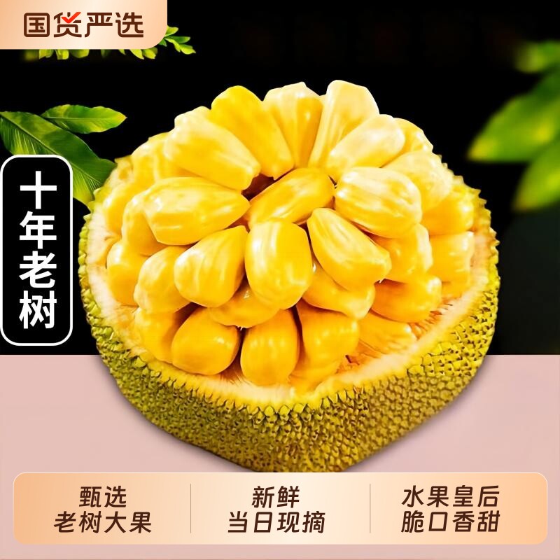 新鲜海南菠萝蜜现摘地方特产热带水果波萝蜜干苞脆甜一整个