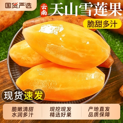 【精品天山雪莲果】9斤钜惠装