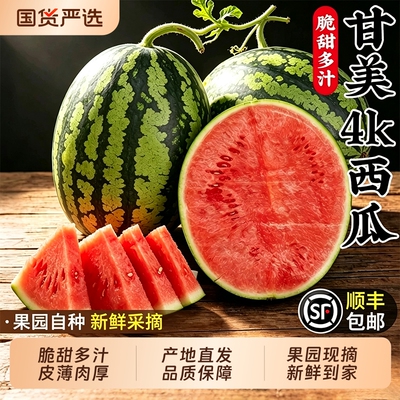 【正宗甘美4k西瓜钜惠】脆甜多汁