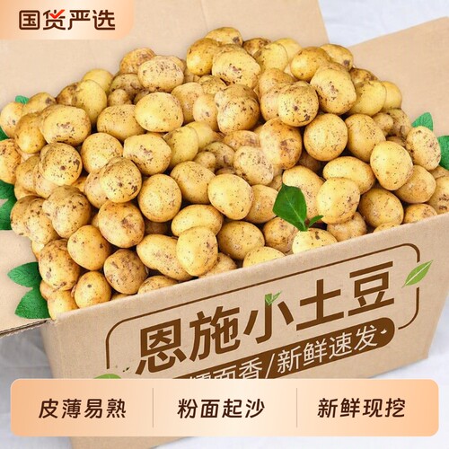 新鲜恩施小土豆9斤|超2000次加购