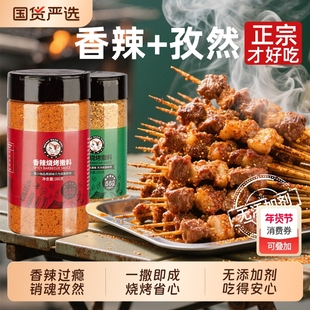 烧烤调料孜然粉撒料家用调味料辣椒空气炸锅烤肉蘸料商用组合全套