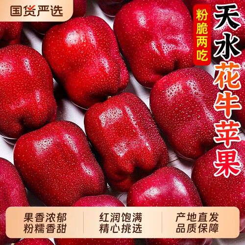 天水花牛苹果热卖中！