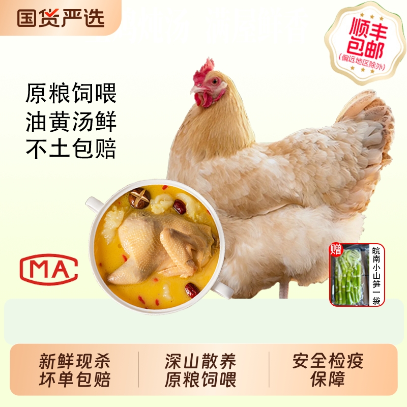 老母鸡现宰整只装正宗土鸡