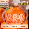 正宗四川春见耙耙柑粑粑柑当季新鲜水果丑八怪桔橘子顺丰整箱包邮