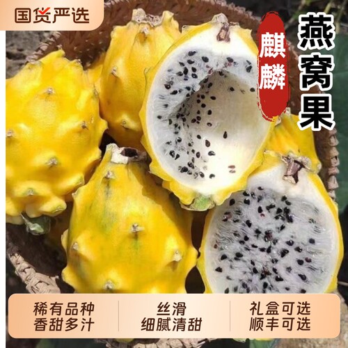 海南正宗燕窝果当季新鲜现摘麒麟热带水果黄皮白心火龙果顺丰可选