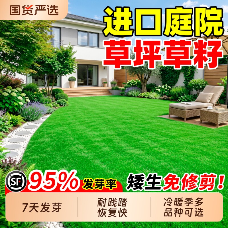庭院草坪草籽四季常青护坡狗牙根矮生地毯草马尼拉绿化黑麦草种子
