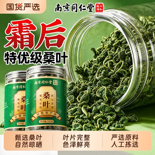 【同仁堂正品】特优级霜后桑叶茶