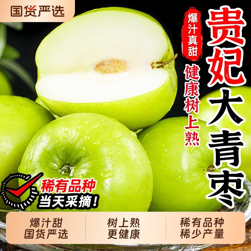 【非普通牛奶枣】福建漳州贵妃牛奶大青枣苹果枣脆甜应季水果冬枣