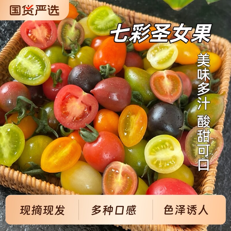 胡鲜森山东七彩小番茄新鲜现摘彩色圣女果多汁混合装水果生鲜迷彩