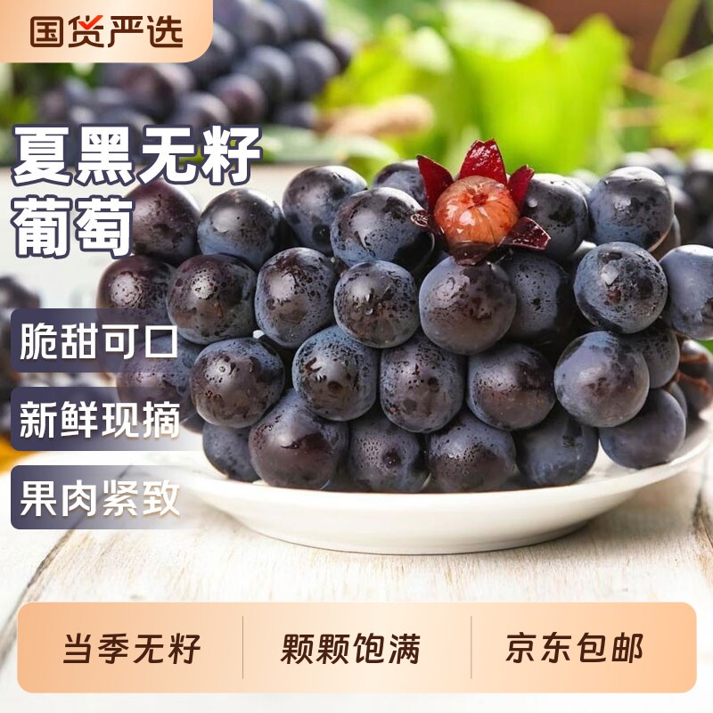 夏黑葡萄无籽新鲜云南黑提子应季水果孕妇整箱京东包邮新鲜采摘