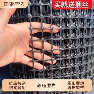 加厚养鸡养鸭塑料围栏网养殖网防护隔离网玉米网栅栏网果园圈地