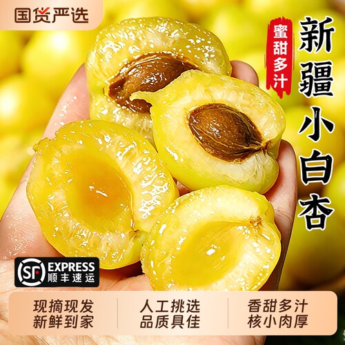 新疆小白杏子轮台新鲜水果