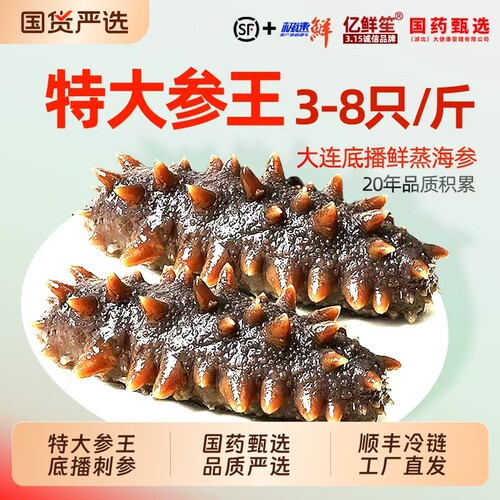 大连海参500g特大号单个