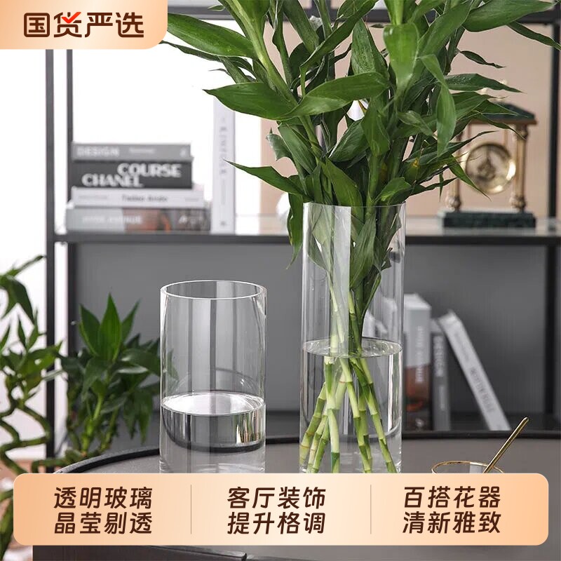 特大号花瓶玻璃透明插花富贵竹百合圆柱直筒落地简约百搭摆件客厅