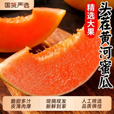 脆甜多汁甜瓜整箱|超1000次加购