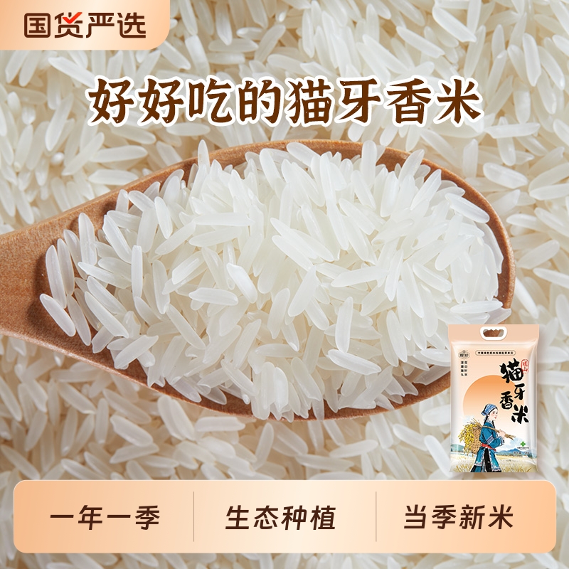 瑶珍猫牙香米优质大米一级长粒香米真空包装炒饭煲仔饭5斤装