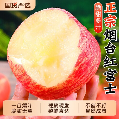 正宗山东烟台红富士苹果现摘包邮