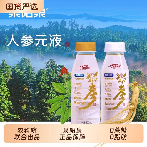 泉阳泉人参饮品熬夜人参水