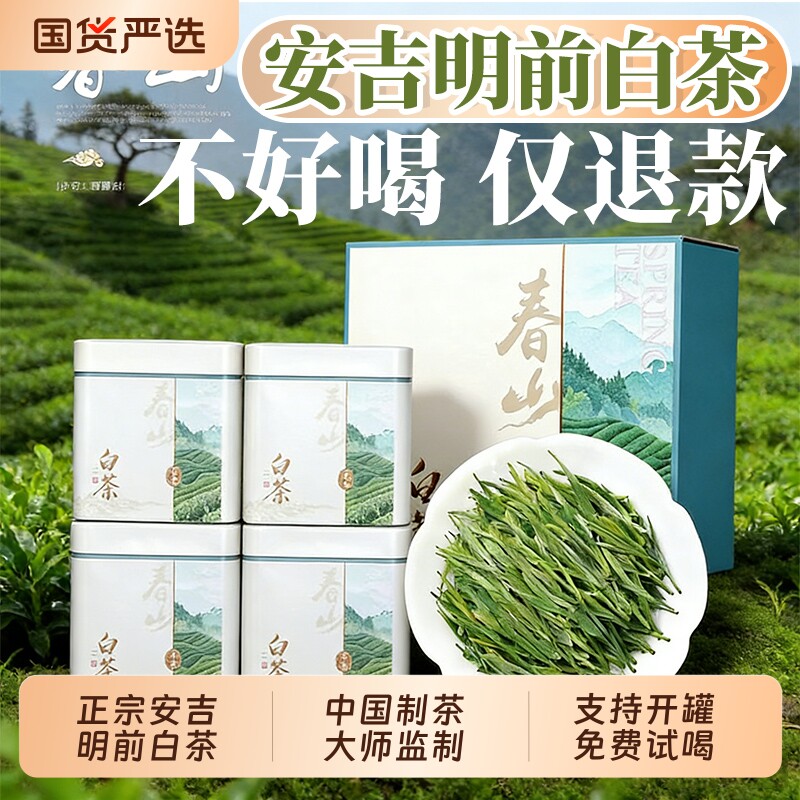 安吉明前白茶2026新茶特级绿茶嫩芽茶叶官方旗舰店正品罐装自己喝