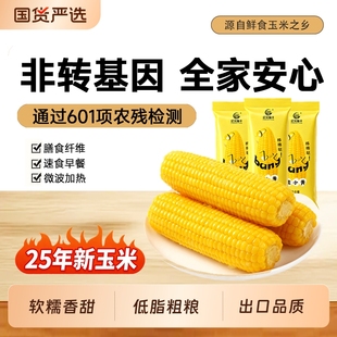 25年新鲜黄糯玉米棒黏粘糯米玉米真空装 袋非即食东北苞米粗粮 包装