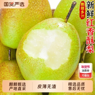 红香酥梨当季新鲜水香梨雪时令孕妇水果整箱现摘包邮年货节精选