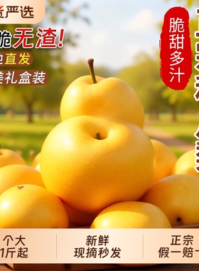 梨子秋月梨正宗山东莱阳新鲜水果10正品雪梨当季整箱包邮现摘产地