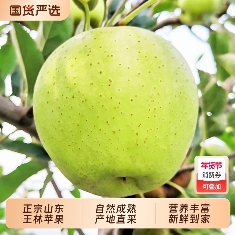 裕鲜生正宗山东烟台王林苹果整箱新鲜水果应季雀斑美人青森王琳,水产肉类/新鲜蔬果/熟食,苹果,淘宝优惠券,粉丝福利购,淘宝优惠卷