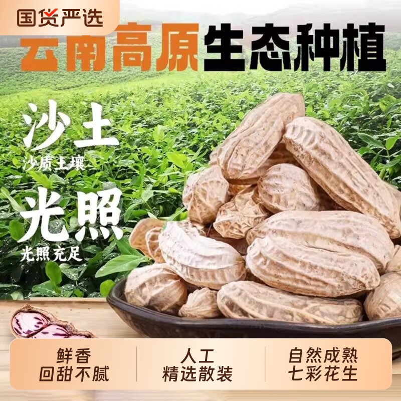 云南七彩花生官方旗舰店2026新货特产种子晒咸干带壳彩色健康特色图片