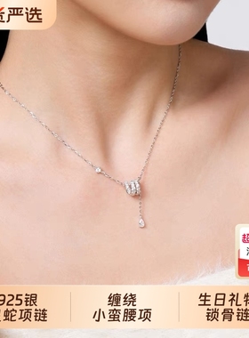 s925银缠绕灵蛇小蛮腰项链女生轻奢小众设计毛衣链生日礼物送女友