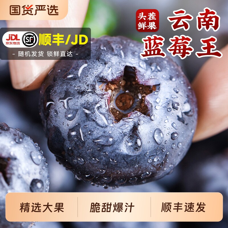 云南蓝莓鲜果特大礼盒当季高山L25花香新鲜水果孕妇怡颗顺丰大果