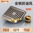 奶油风全铜地漏拉丝卫生间防虫臭浴室长条下水道大排量洗衣机两用