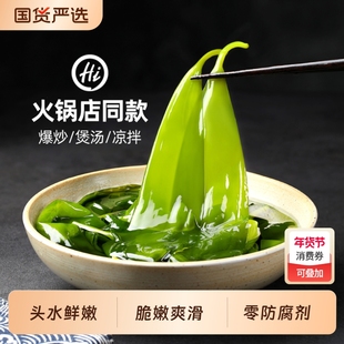 海带苗霞浦特产级新鲜嫩苗火锅专用海带苗旗舰店盐渍海带苗芽商用