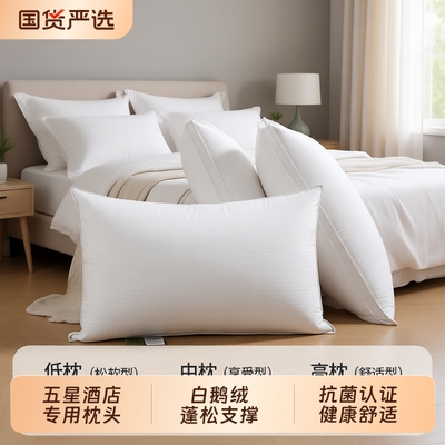 奢世希尔顿鹅绒护颈枕头一对装