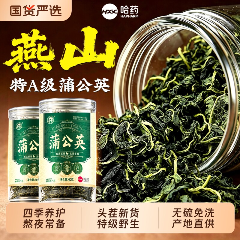 蒲公英茶正品特级野生中药材新鲜婆婆丁干养生茶清泡水喝金银花