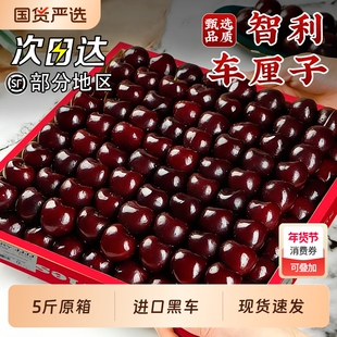 智利车厘子5斤礼盒新鲜水果包邮当季整箱桑提娜4j孕妇进口3大樱桃